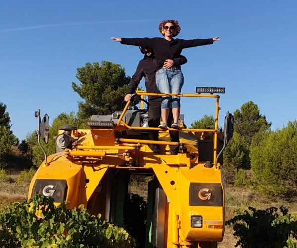 site-sdv.-villepyroux